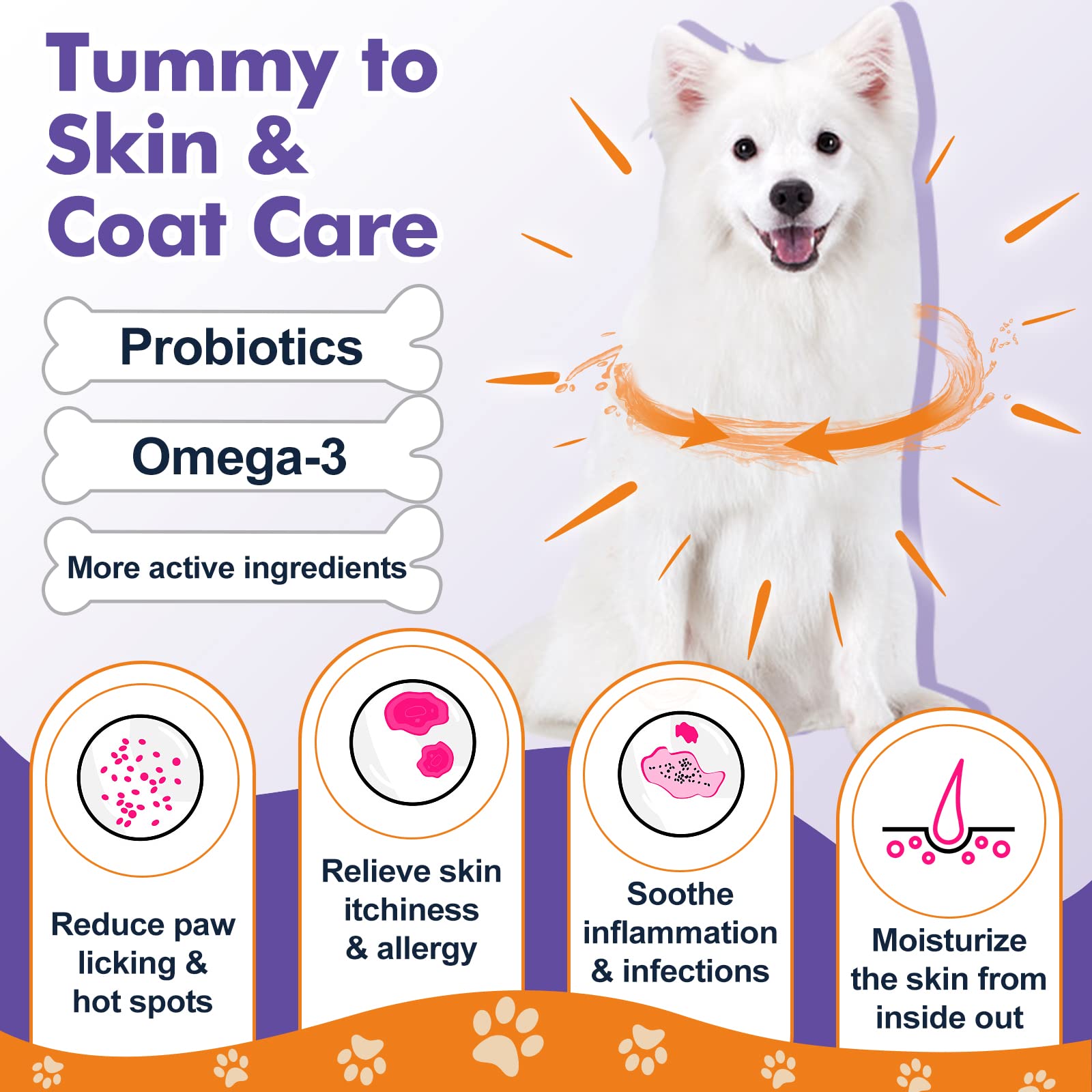 DRFOSTER prebiotics dog formula supports balanced gut flora for steady digestion.