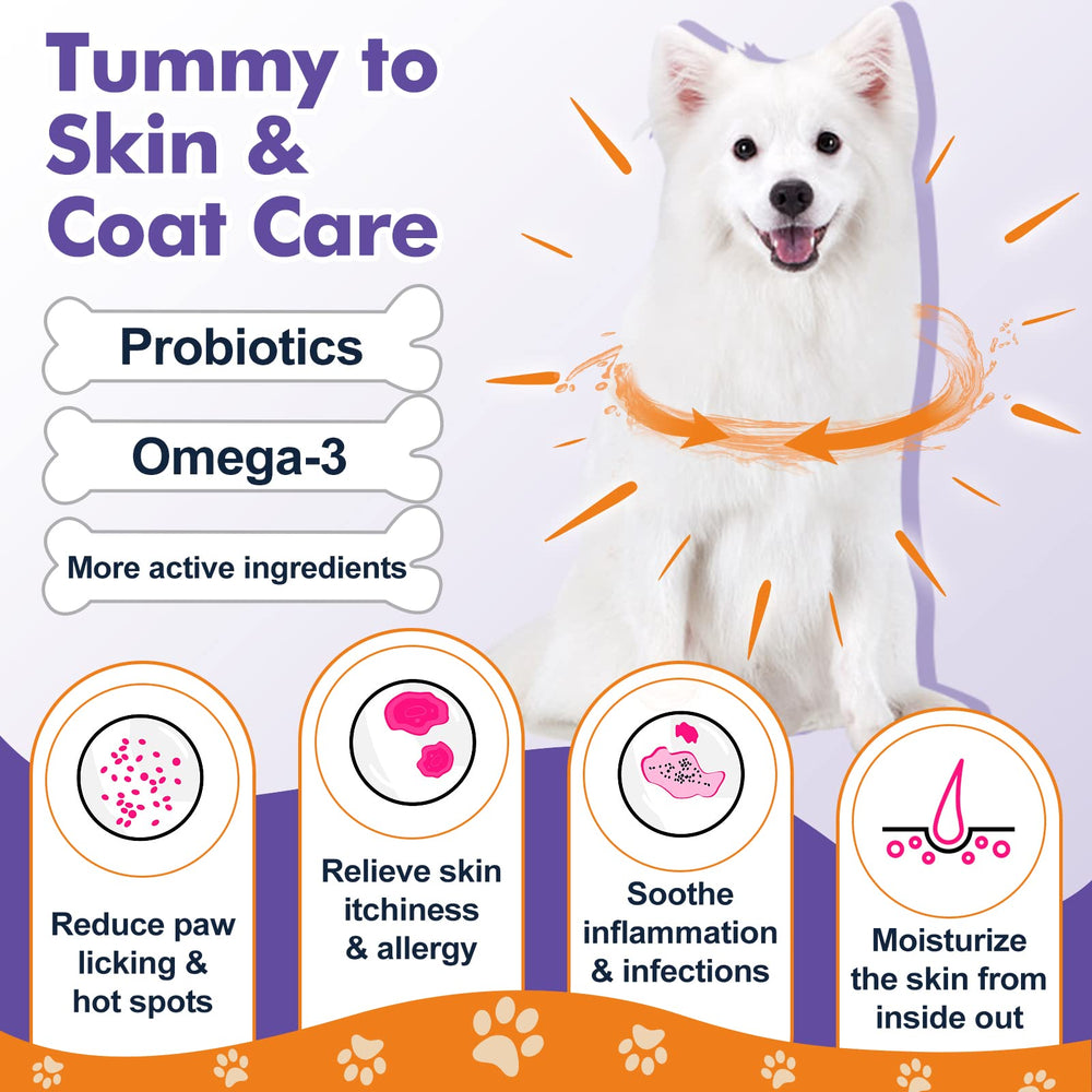 DRFOSTER prebiotics dog formula supports balanced gut flora for steady digestion.