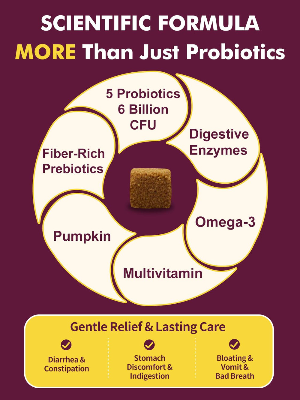 DRFOSTER probiotics ingredients with pumpkin emphasizes fiber and prebiotic support