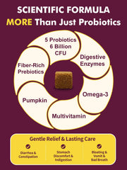 DRFOSTER probiotics ingredients with pumpkin emphasizes fiber and prebiotic support