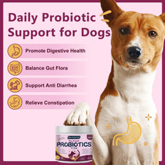 DRFOSTER PROBIOTICS FOR DOGS chews closeup shows tasty texture for simple dosing
