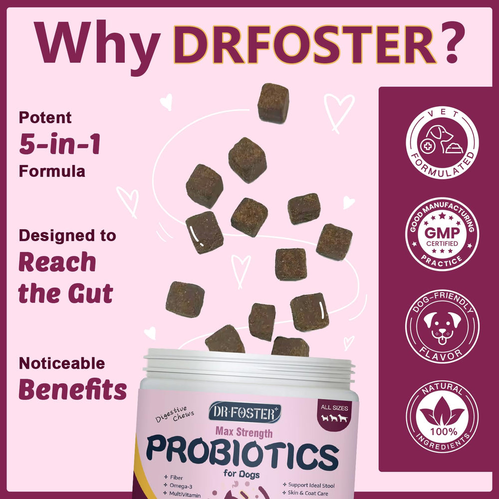 DRFOSTER PROBIOTICS FOR DOGS immune-energy image suggests vitality support
