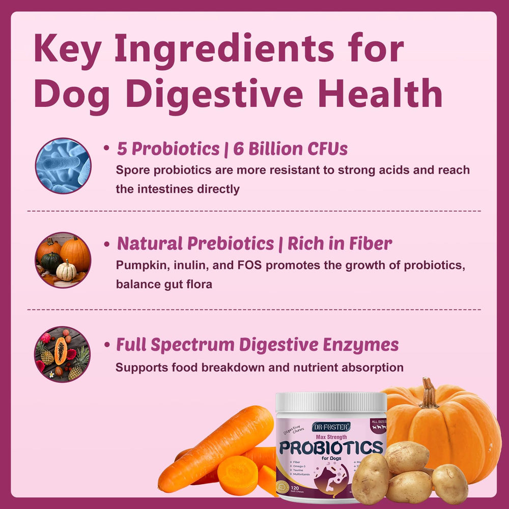 DRFOSTER PROBIOTICS FOR DOGS pumpkin prebiotics highlight gut health benefits