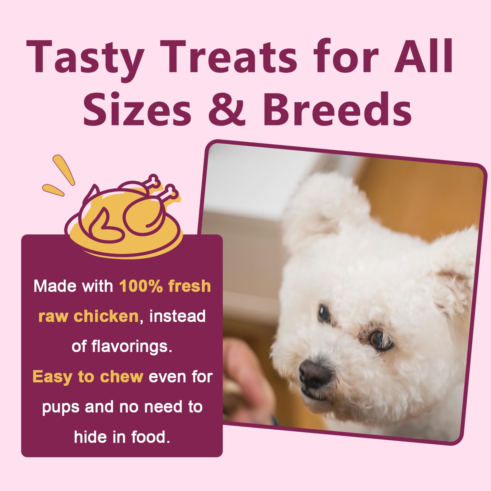 DRFOSTER PROBIOTICS FOR DOGS skin-coat shine highlights improved fur condition