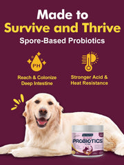 DRFOSTER spore strains image illustrates robust stomach-friendly bacteria for gut balance