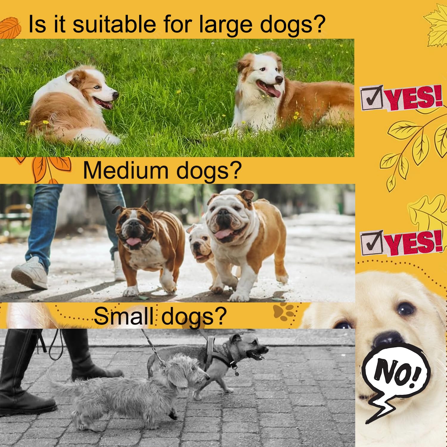 Drgxle double dog leash five point five foot length offers versatile control on varied terrain