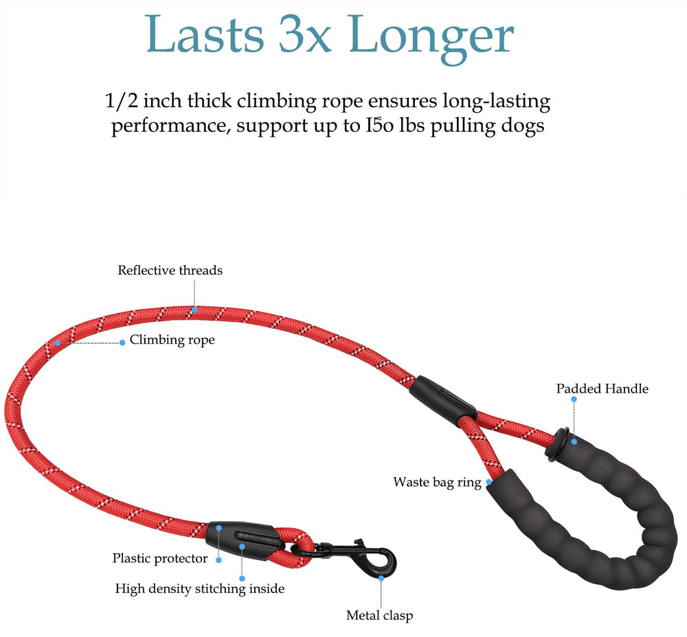 Drgxle Double Dog Leash reflective stripes boost night visibility for safety.