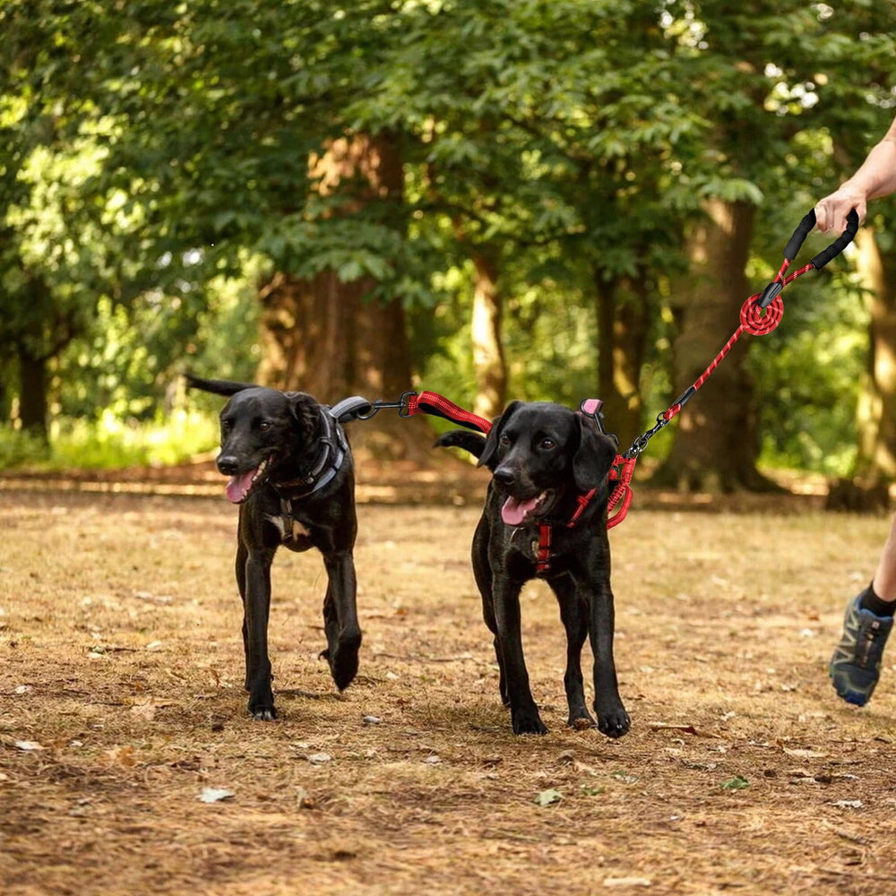 Drgxle Double Dog Leash two-dog-walk supports harmonious movement for two dogs.