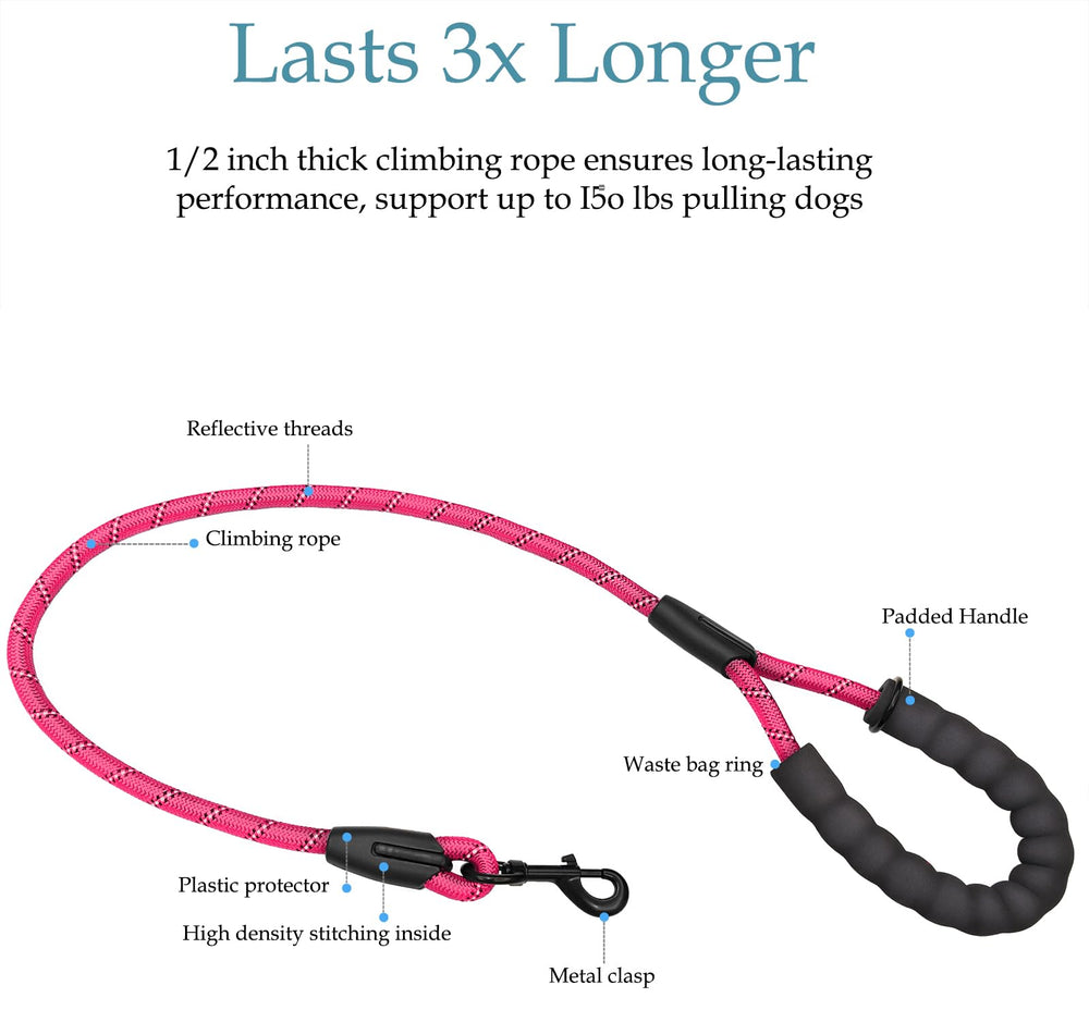 Drgxle double dog leash reflective stripe boosts visibility for night walks