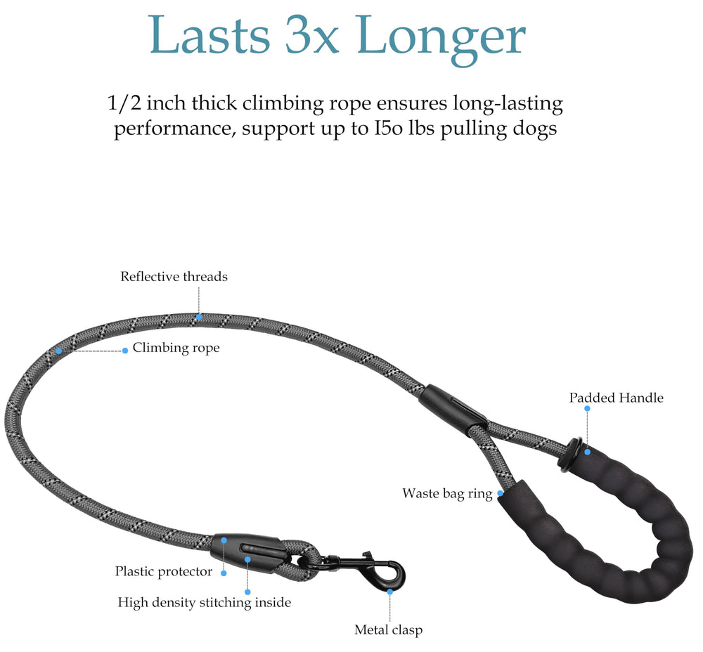 Drgxle double dog leash with reflective stripe for night visibility