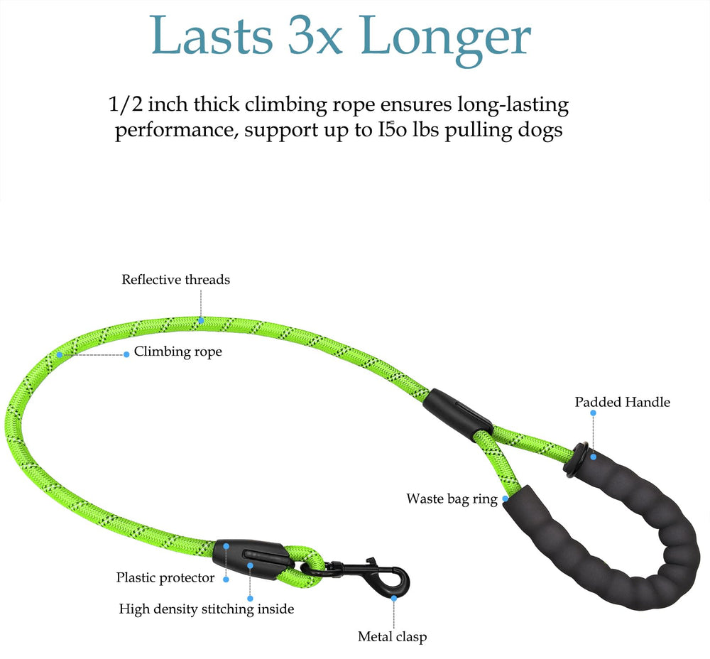 Drgxle leash features reflective stripes for safer night walks.