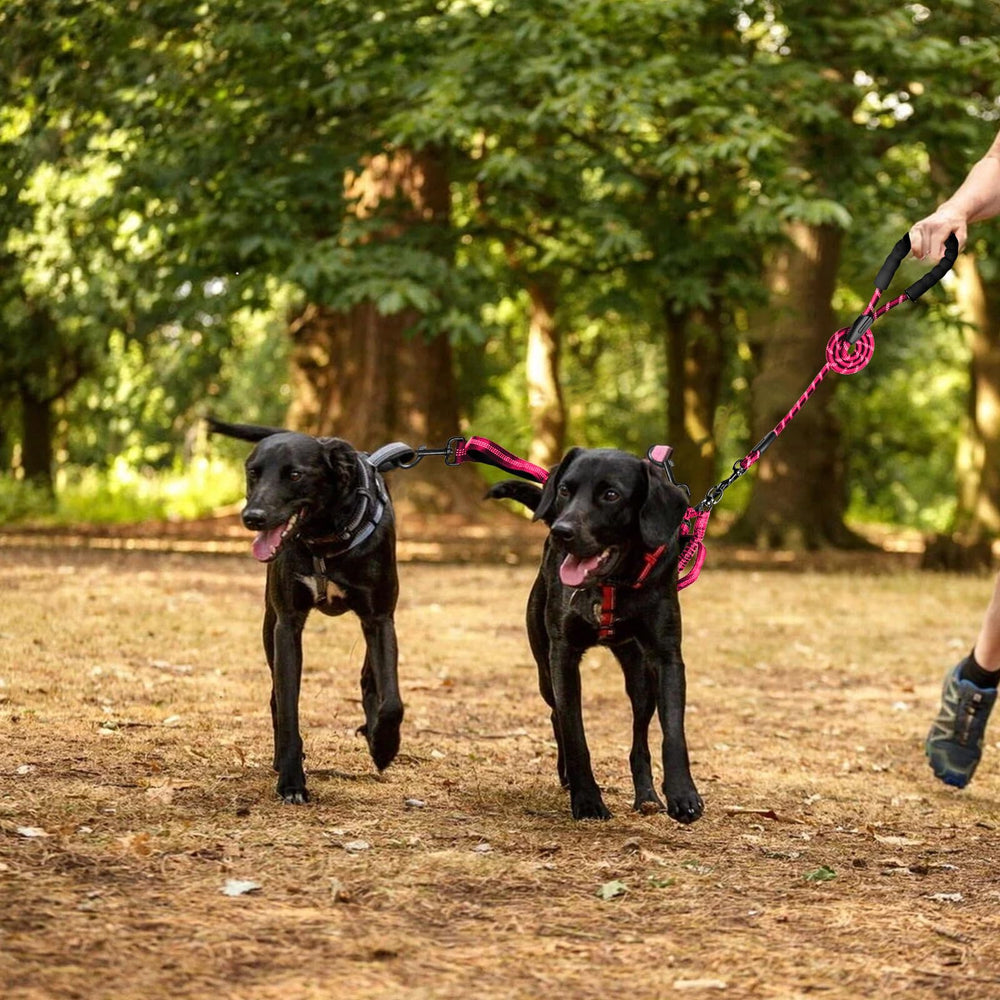 Drgxle double dog leash reinforced alloy clasps improve durability during strong pulls