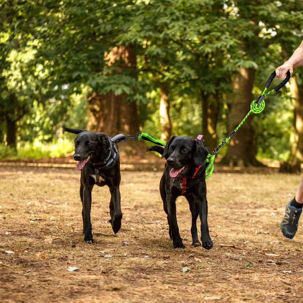 Drgxle double leash keeps two dogs walking in harmony.