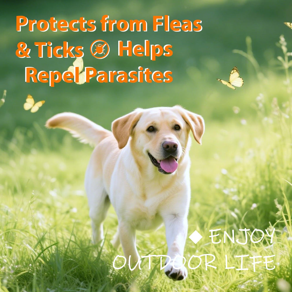 Drloton vet-formulated chews label signals veterinary-grade formulation