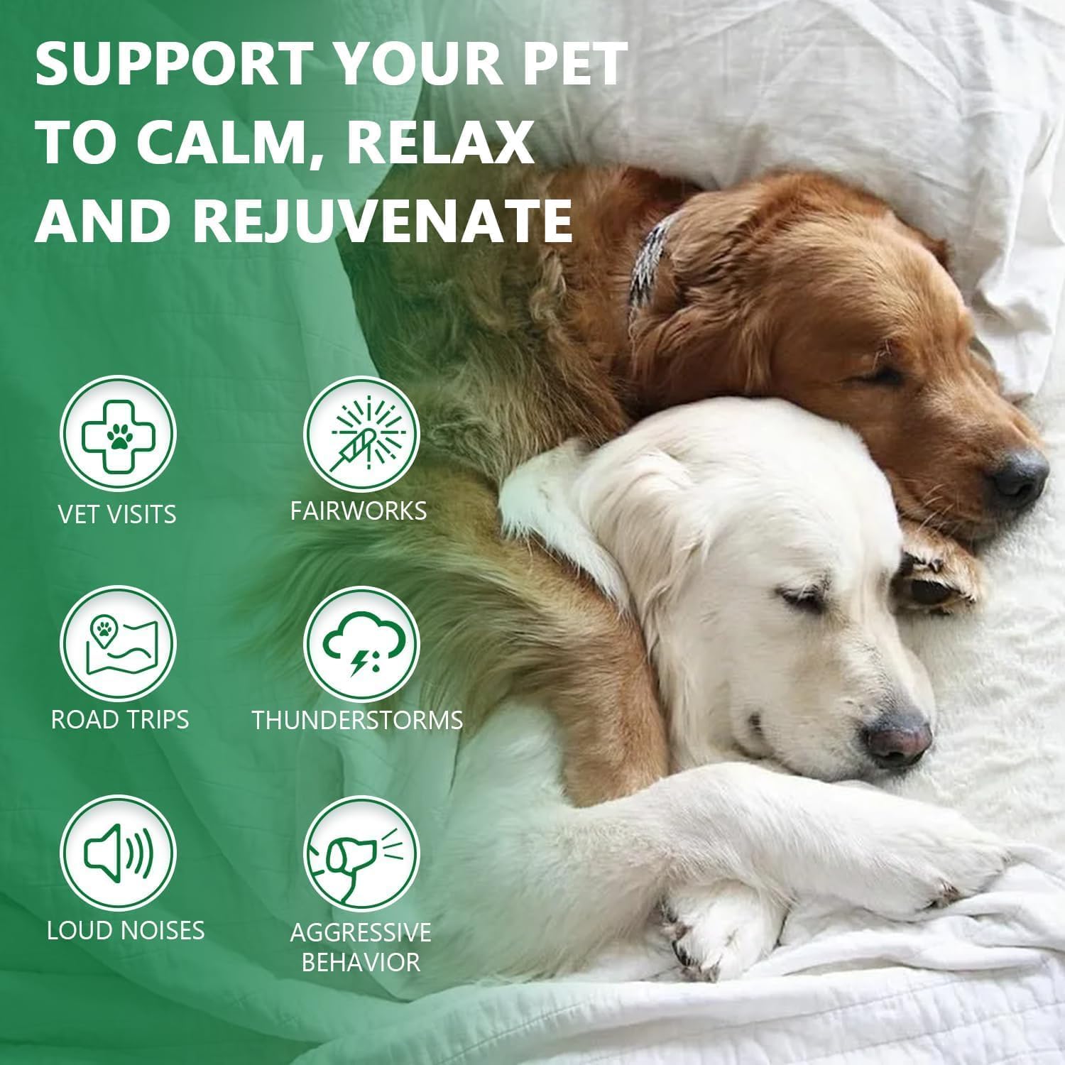 Drloton hemp oil veterinary-grade packaging supports joint comfort and mobility.
