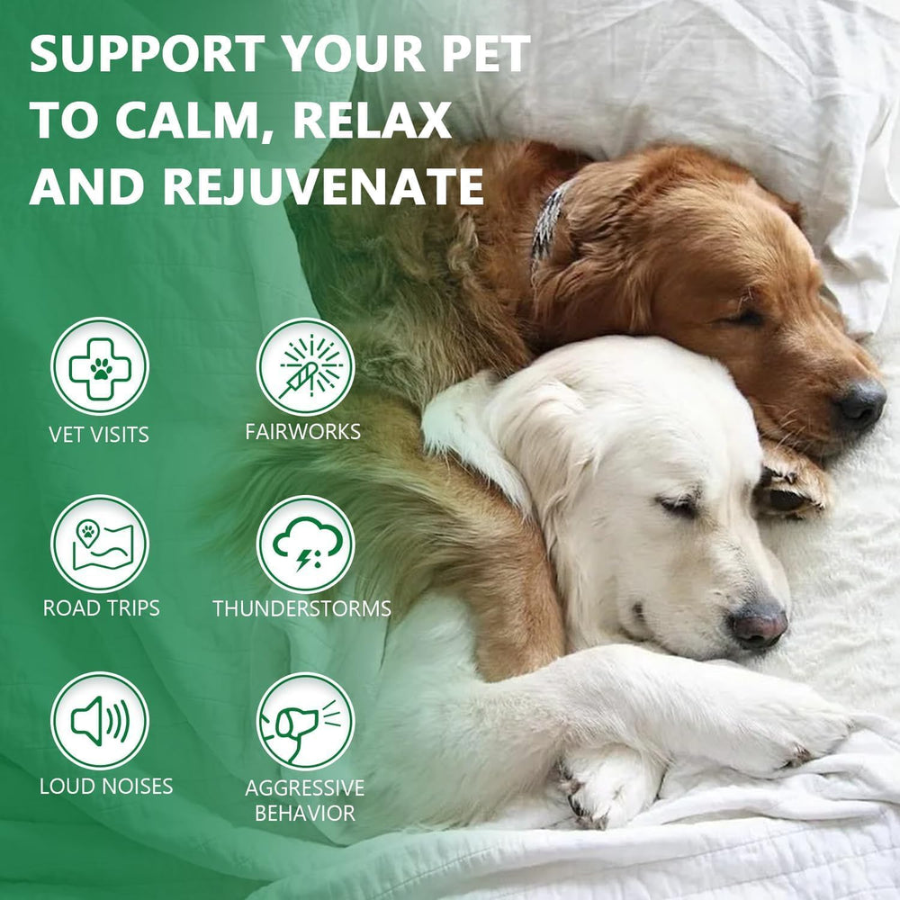 Drloton hemp oil veterinary-grade packaging supports joint comfort and mobility.