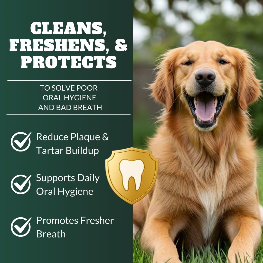DRMOIS dog teeth cleaning powder scoop dispensing powder onto food for ease.