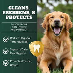 DRMOIS dog teeth cleaning powder scoop dispensing powder onto food for ease.