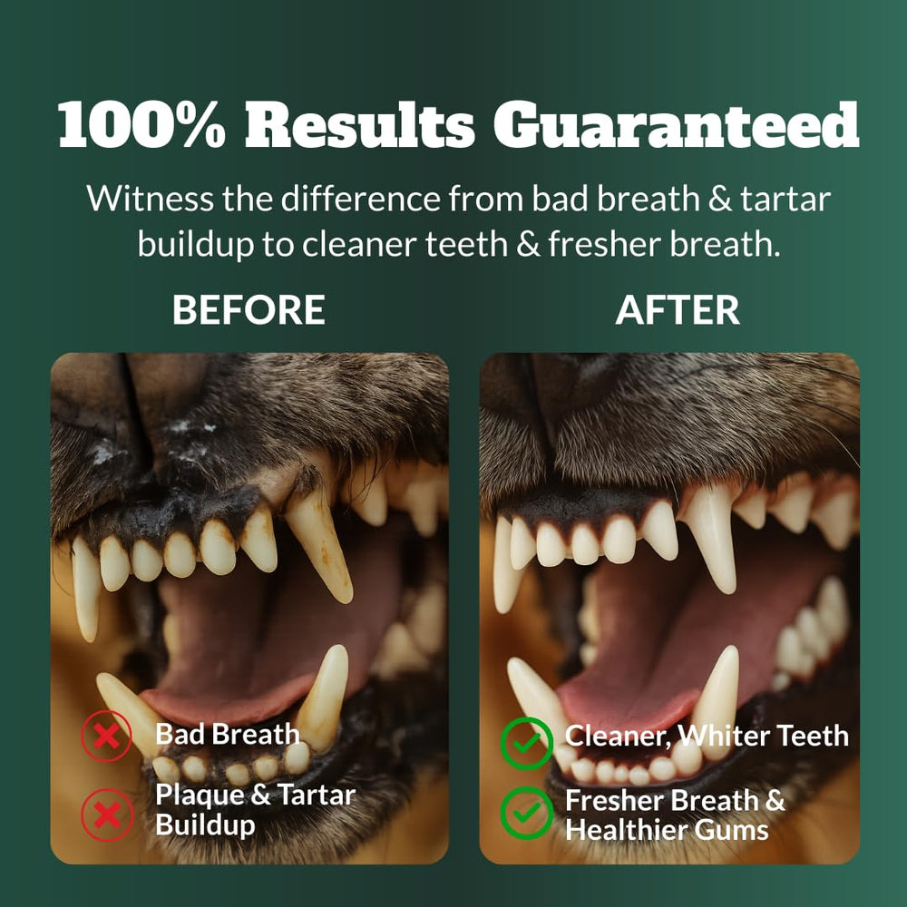 DRMOIS seaweed ingredient highlights natural dental care support.