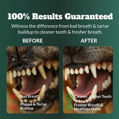 DRMOIS seaweed ingredient highlights natural dental care support.