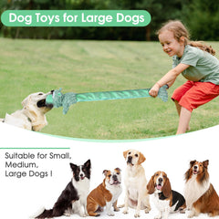 Drmstow-dog-toy-durable-chew-test showcases resilience for lively play sessions.