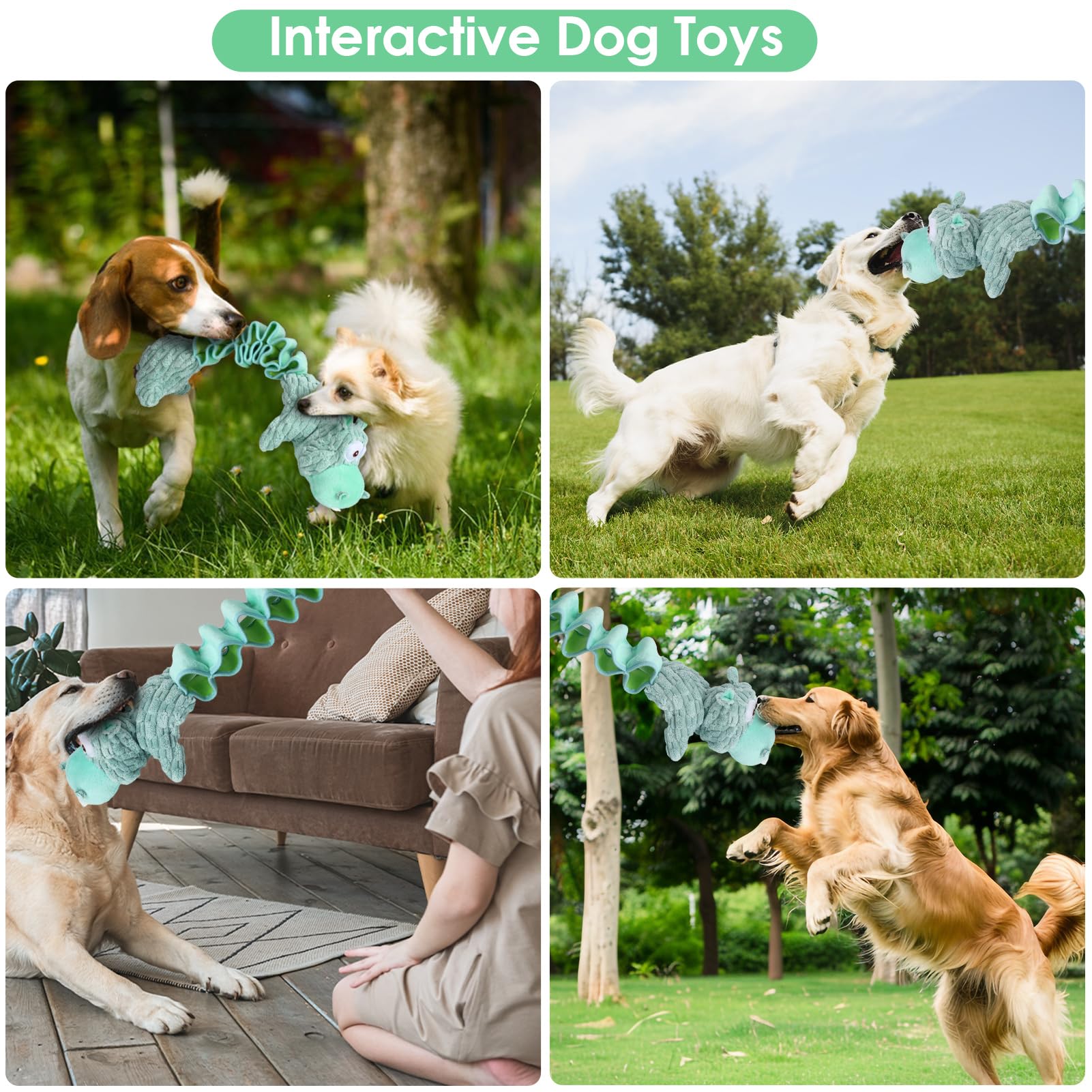 Drmstow-gift-ready-dog-toy-packaging suggests an easy gift option.
