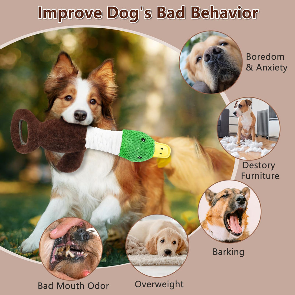 Drmstow plush duck toy tug-handle supports owner-pet play.