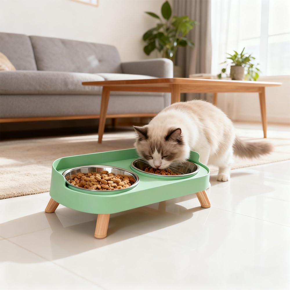 DROHOO splash-guard edges minimize spills in a tidy feeding area.