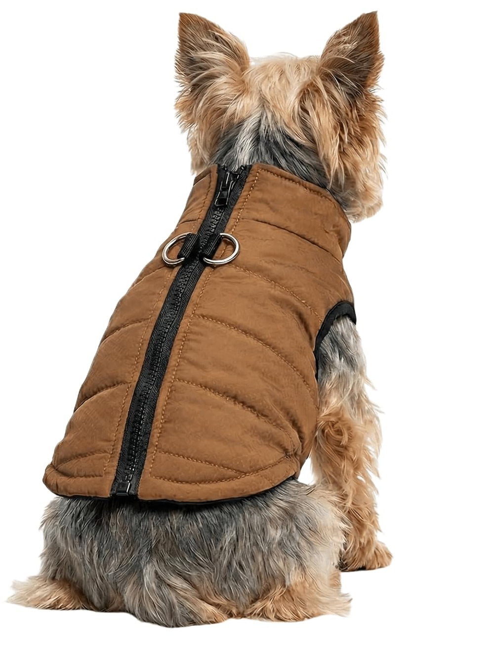 DroolingDog dog coat front view shows warm protection for cold outings.