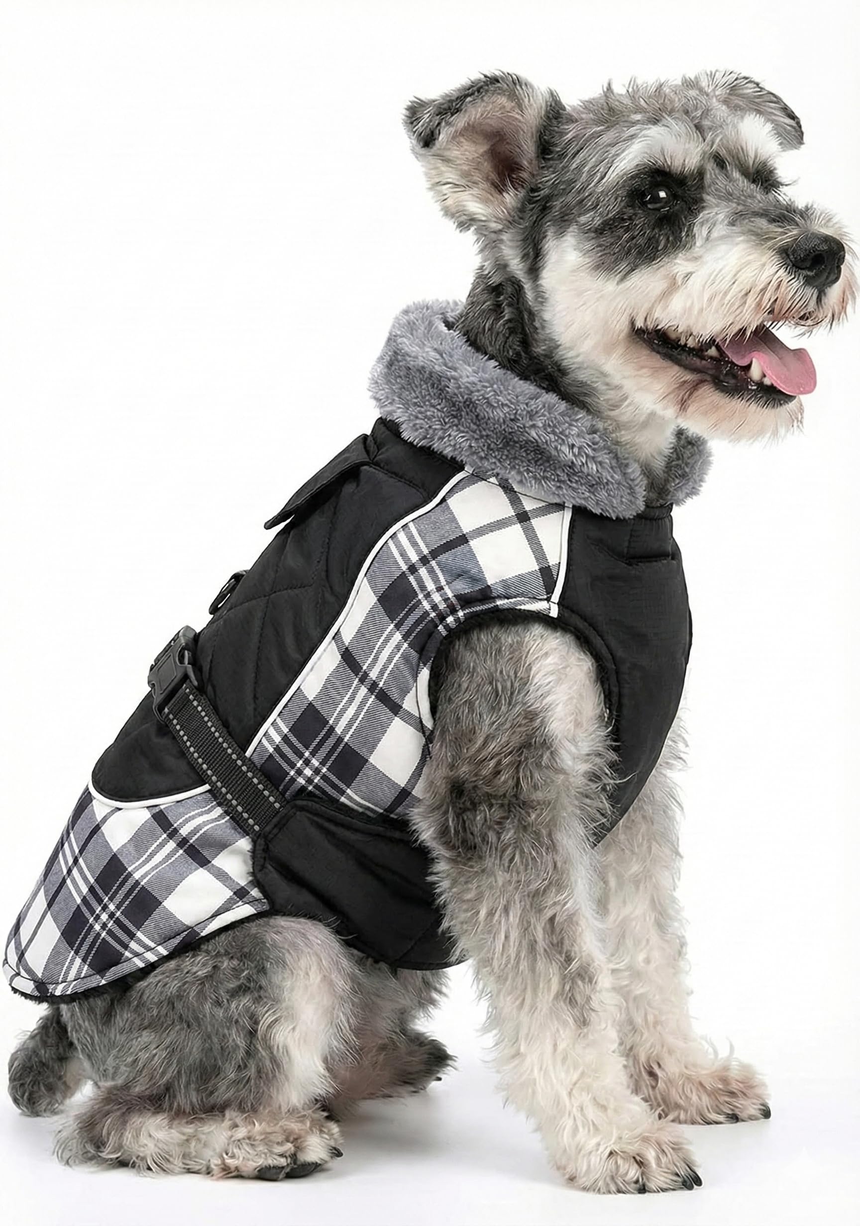 DroolingDog waterproof-nylon-dog-coat keeps your pup dry on rainy walks