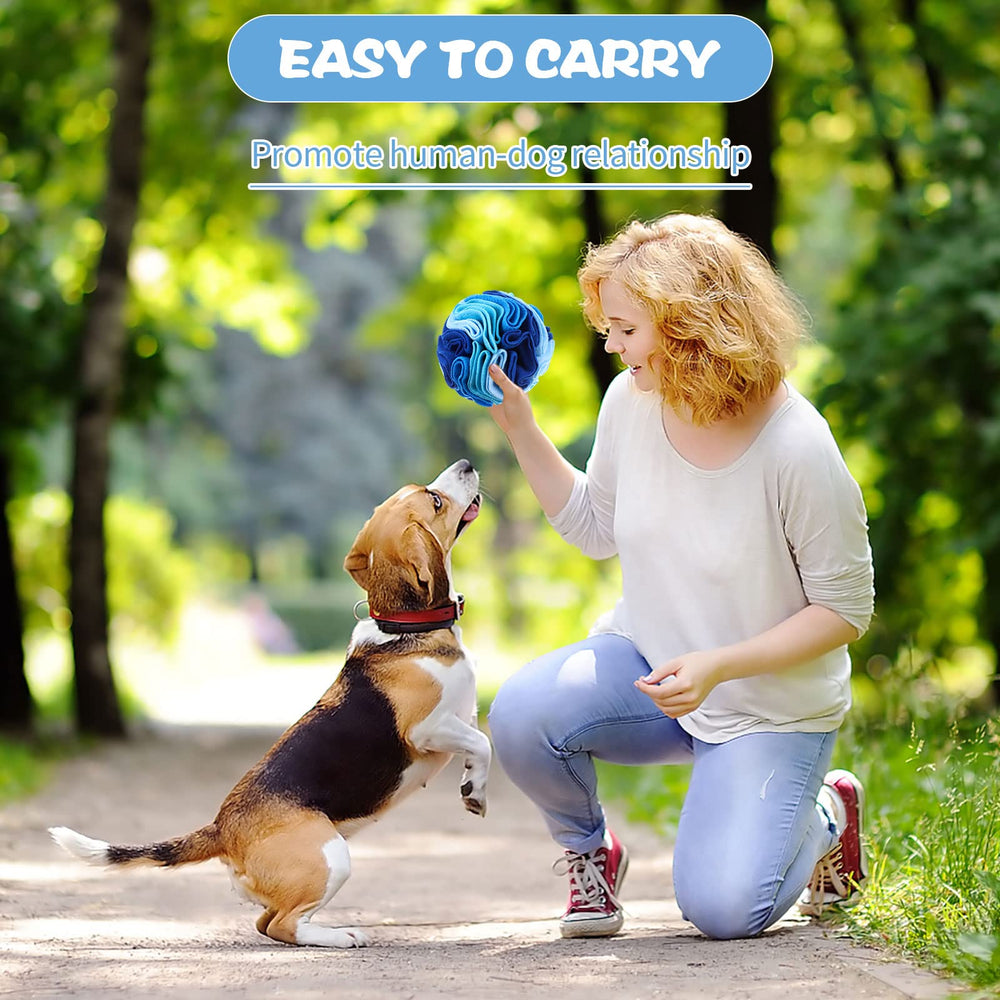 Droutti snuffle ball dog enrichment use demonstrates stress-relief-focused play and slow-feed benefits.