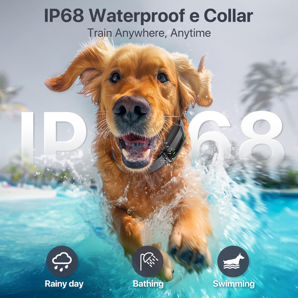 Drroon dog shock collar supports up to 3 dogs with multiple channels.
