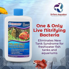 DrTim’s Aquatics One & Only live nitrifying solution in a new tank setup