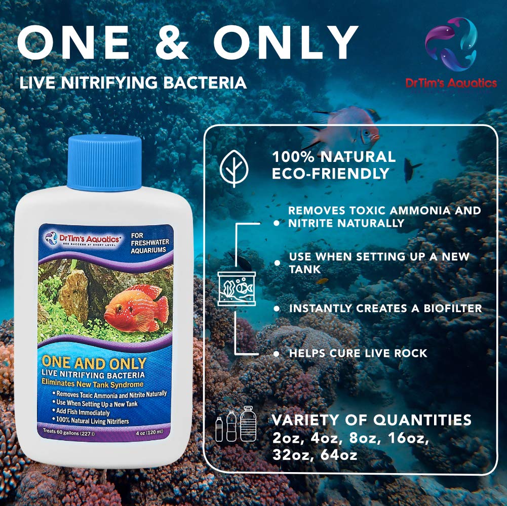 DrTim’s Aquatics One & Only beside test kit for compatibility