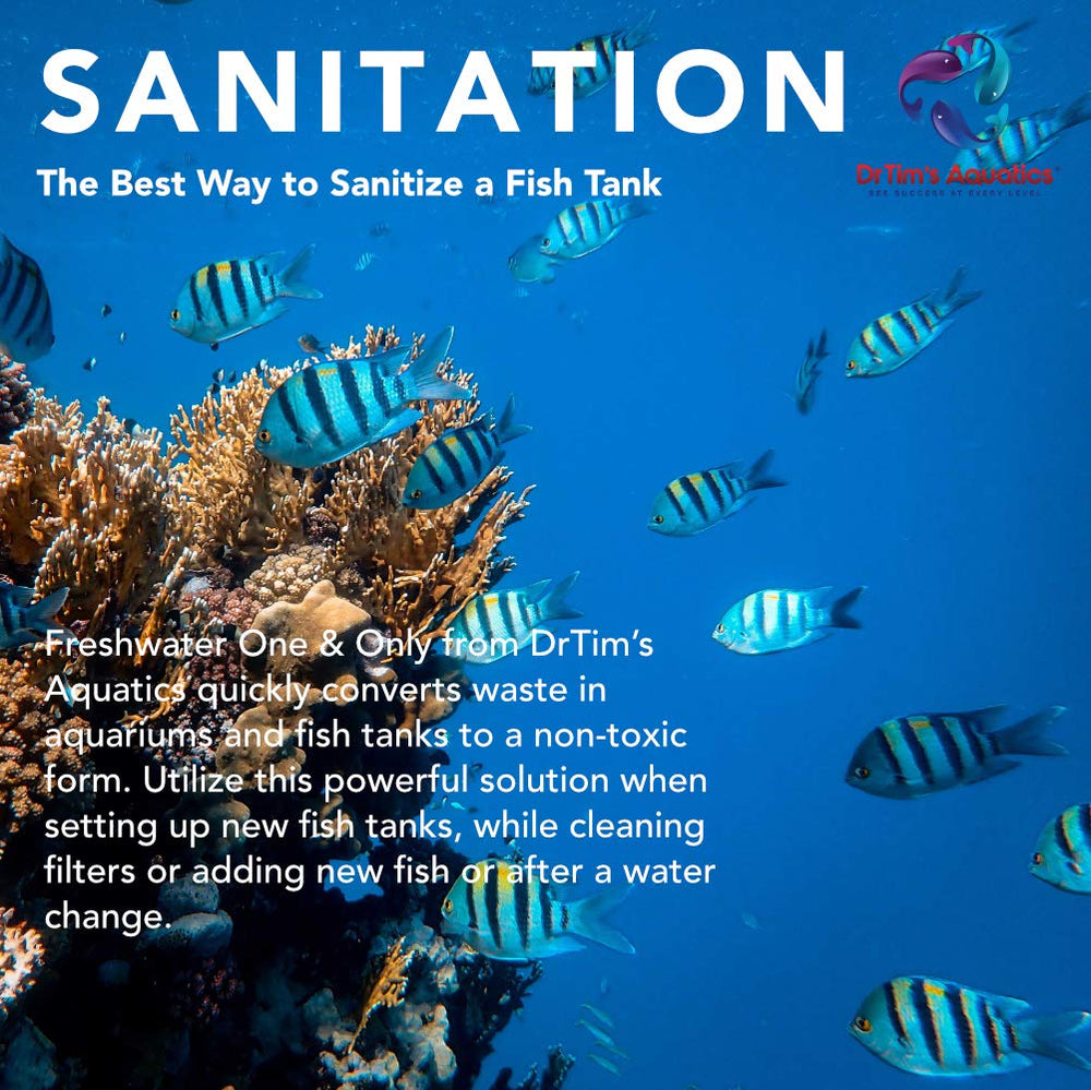 DrTim’s Aquatics One & Only used in a tropical planted tank