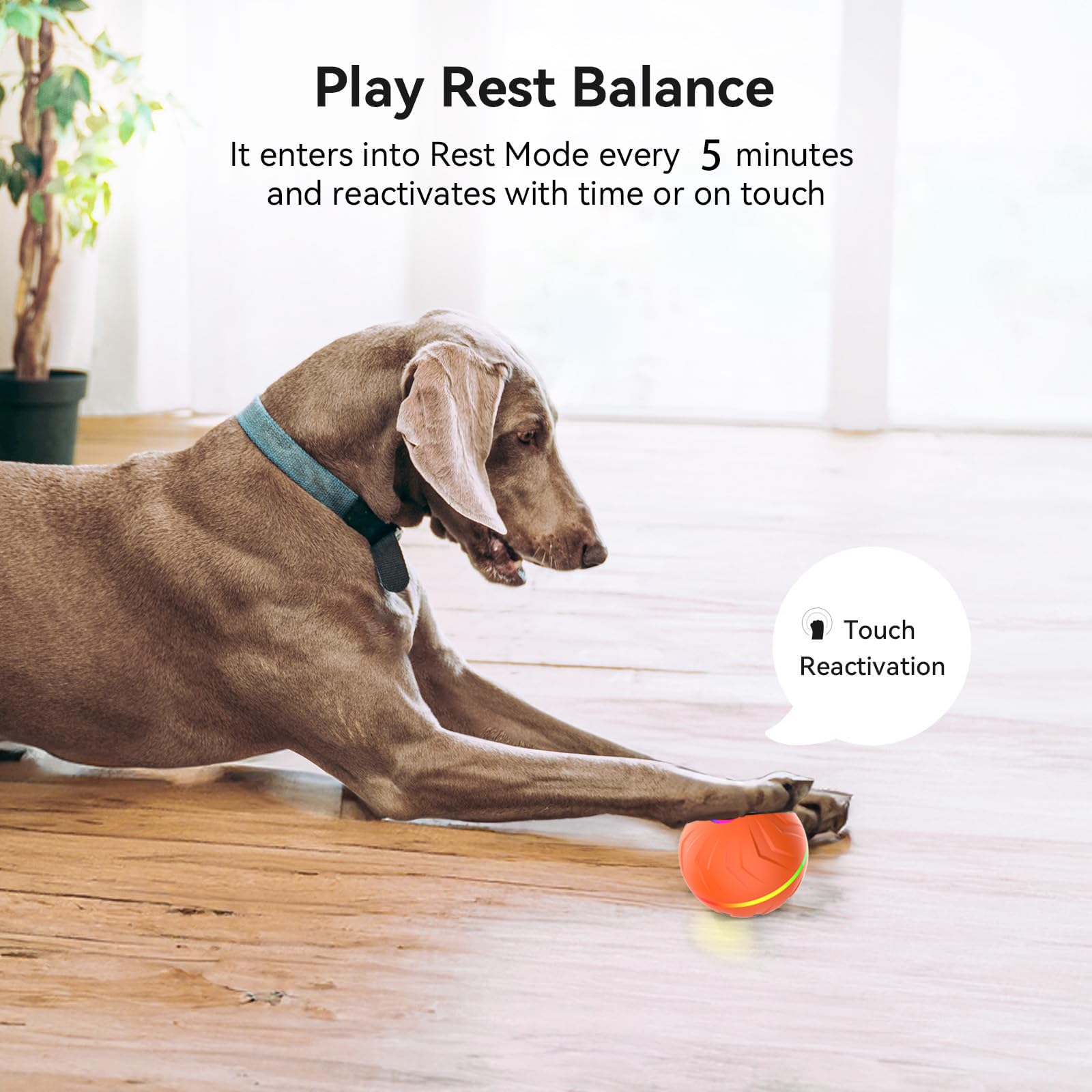 DRVUXBIL interactive dog ball bouncing with bright LEDs to grab attention