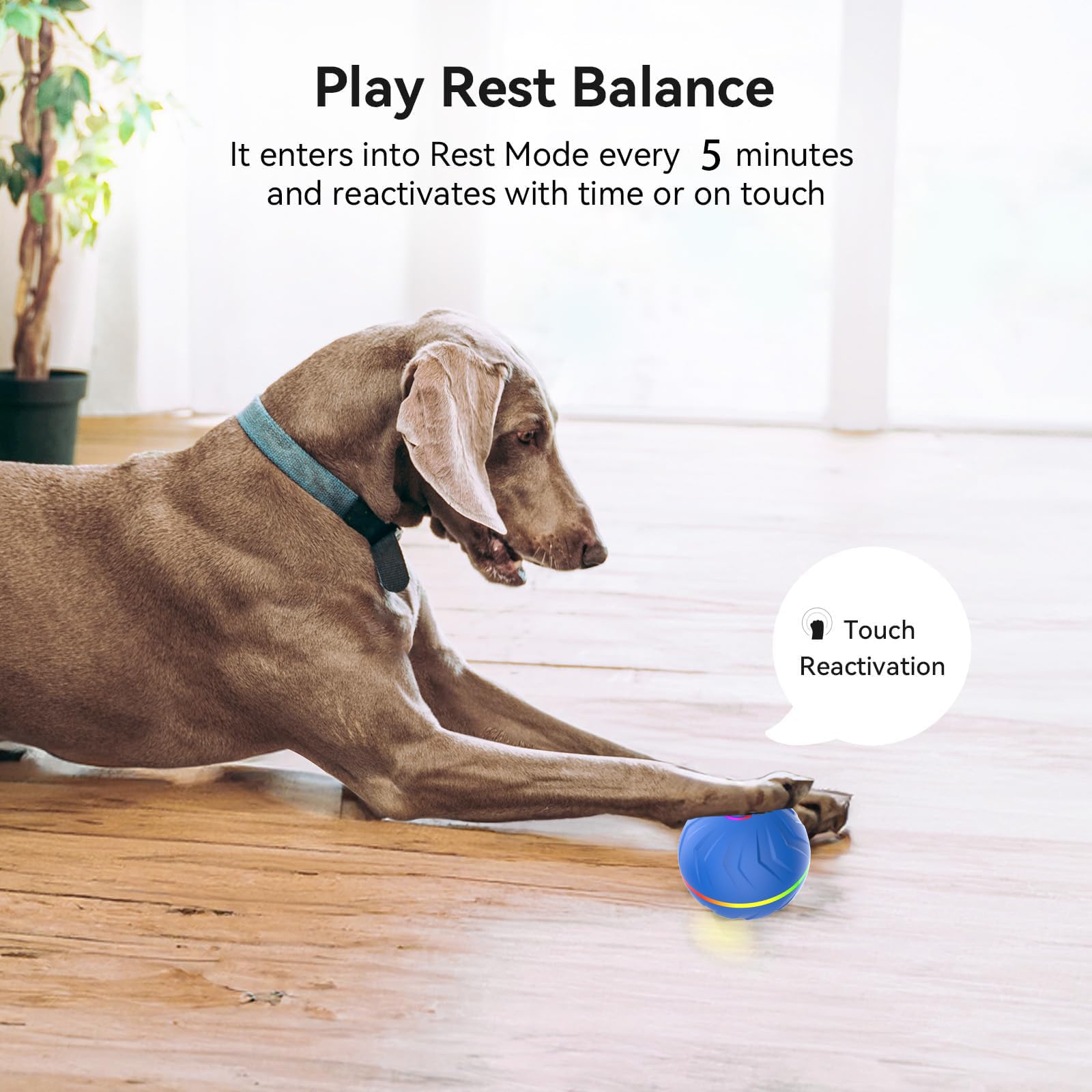 DRVUXBIL water-resistant-interactive-dog-ball withstands drool for outdoor fun.