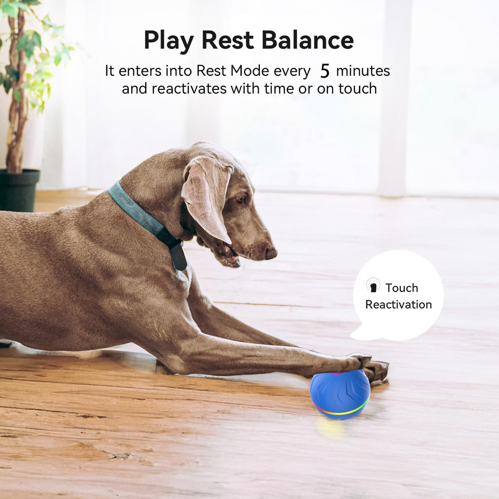 DRVUXBIL water-resistant-interactive-dog-ball withstands drool for outdoor fun.