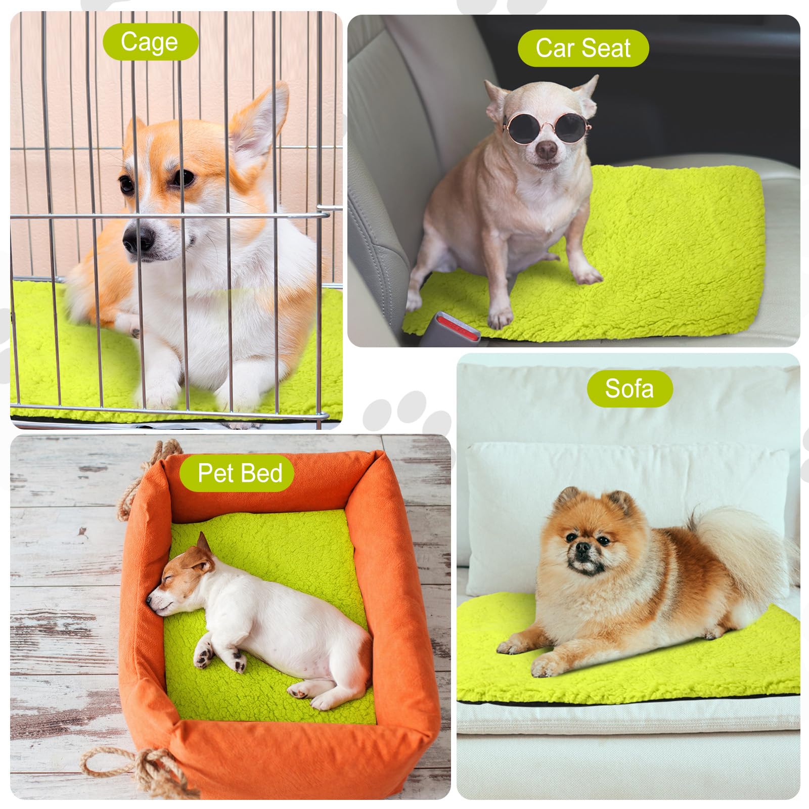 Drydiet fluorescent green cat pad shown in living space for travel readiness