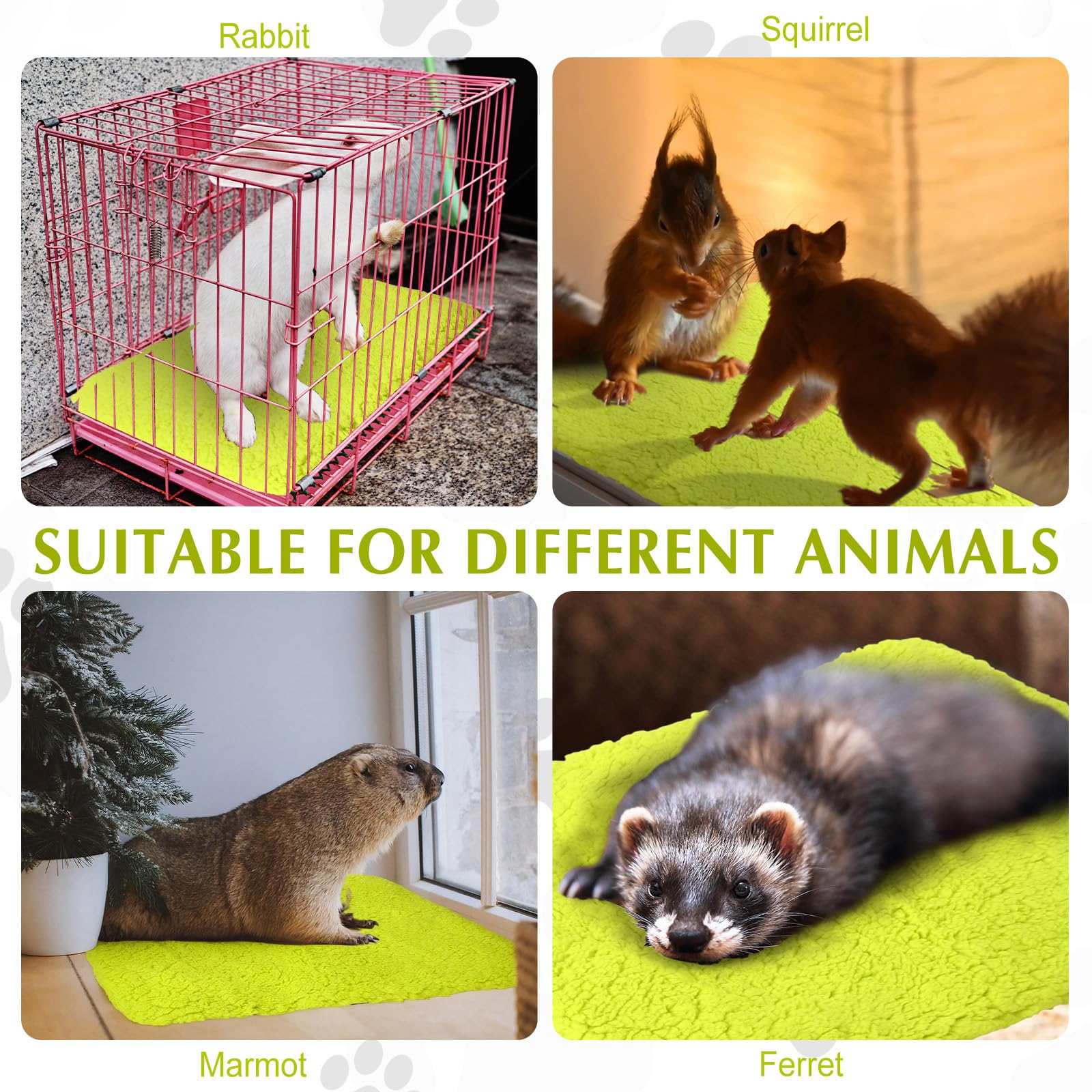 Drydiet lightweight pad for travel, outdoor adventures with pets at ease
