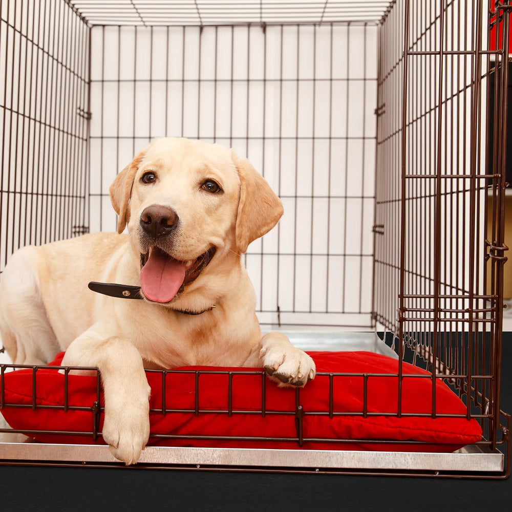 Drydiet supports multipurpose use in crates, kennels, and play zones.