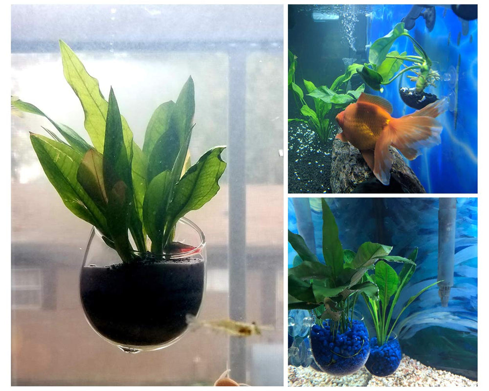 DS. DISTINCTIVE STYLE Crystal plant cups used as aquarium decoration