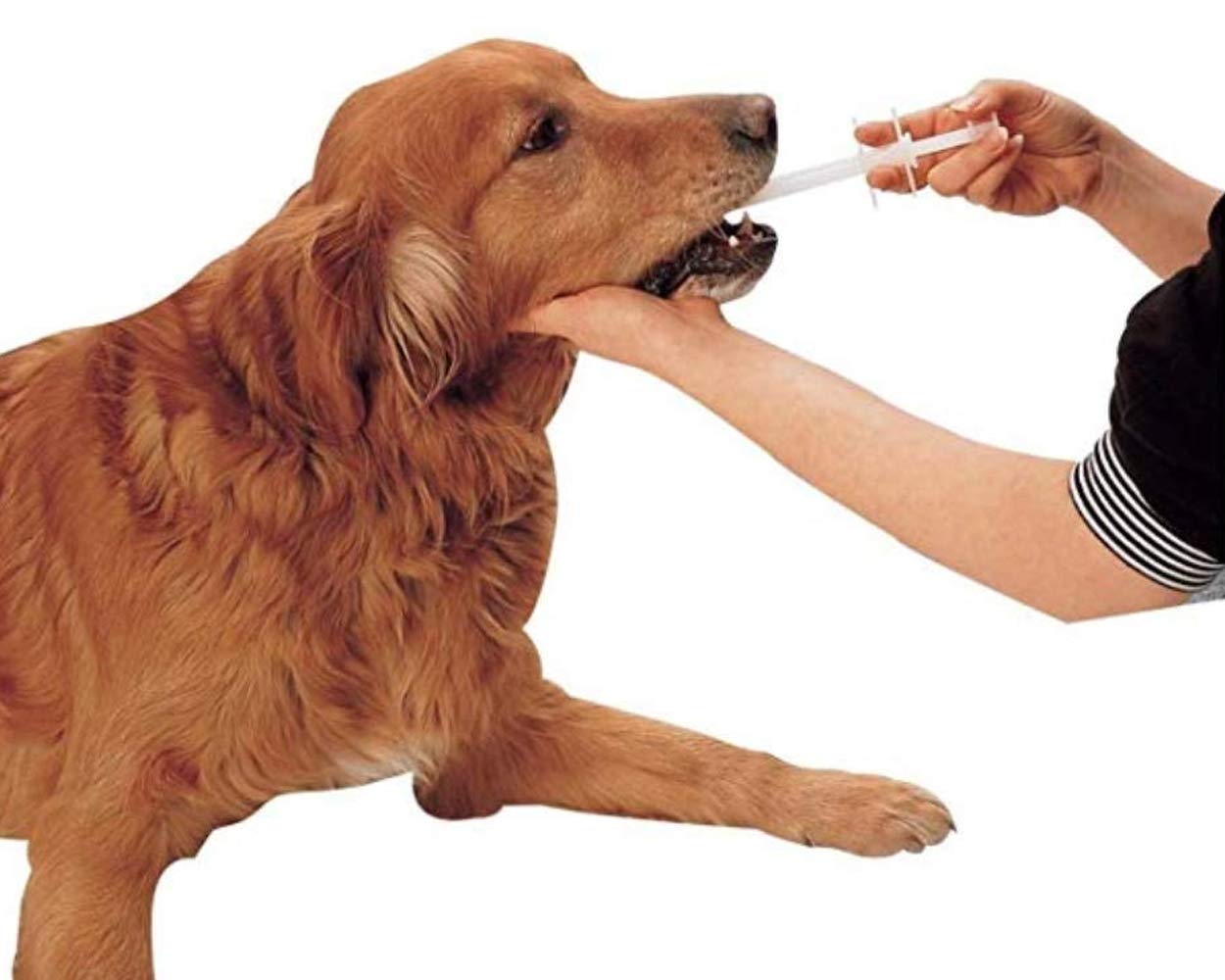 DS. DISTINCTIVE STYLE Bifurcated rubber design for hygienic pill feeding.