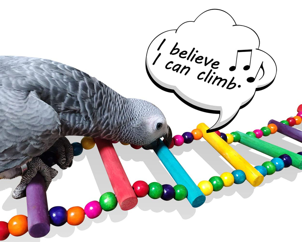 DS. DISTINCTIVE STYLE hanging-ladder-for-small-birds promotes climbing and dexterity.