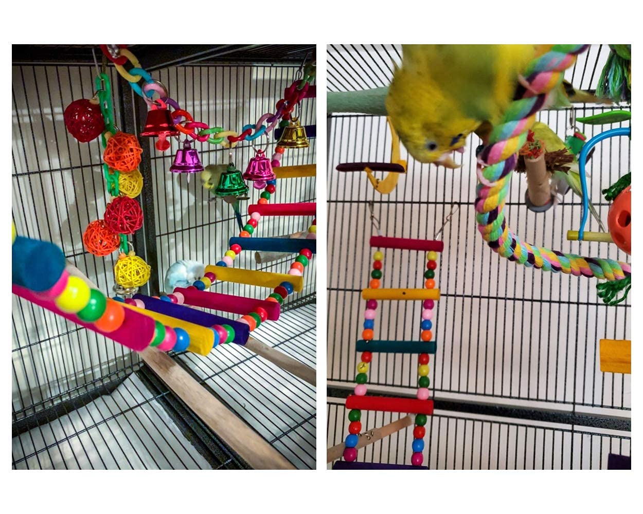 DS. DISTINCTIVE STYLE multi-use-parrot-bridge inside-cage encourages exploration and safe chewing.
