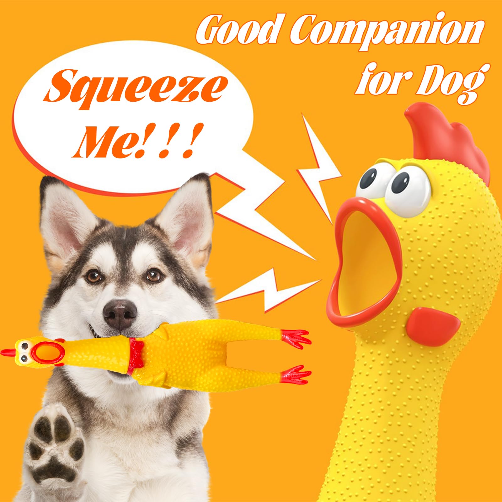 Dshengoo separated-head-design chicken shows easy reassembly after playful dog adventures.