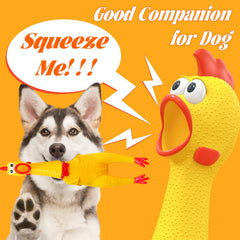 Dshengoo separated-head-design chicken shows easy reassembly after playful dog adventures.