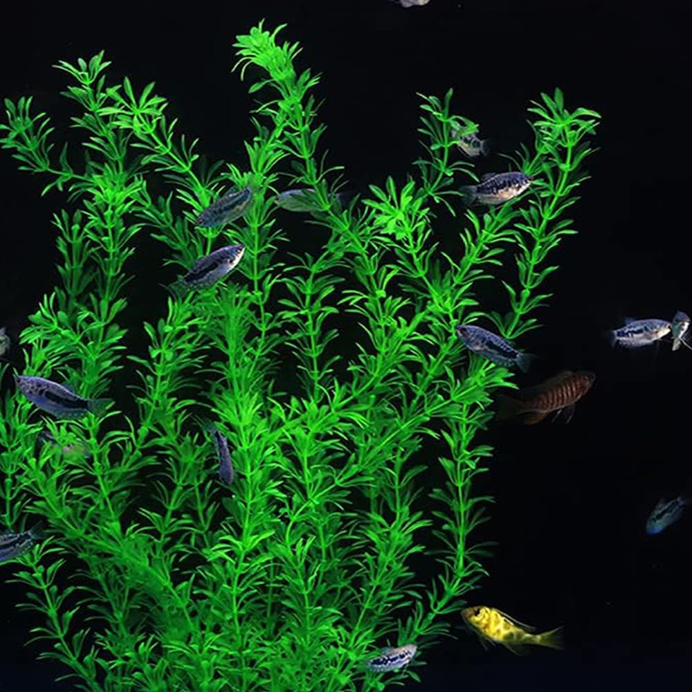 DSkoiph 2pcs pack view shows two tall artificial plants for striking scenery.