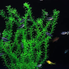 DSkoiph 2pcs pack view shows two tall artificial plants for striking scenery.