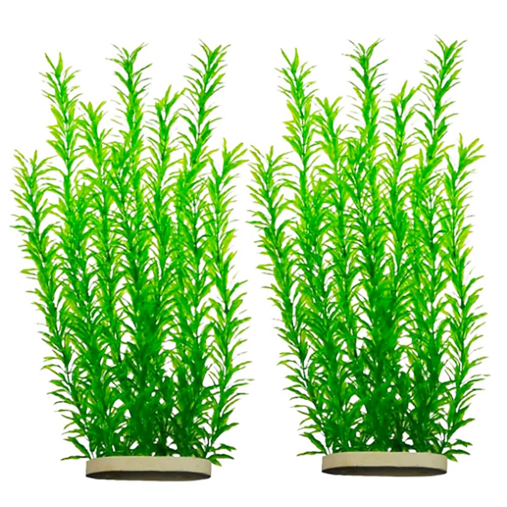 DSkoiph aquarium plants water-flow view captures lifelike movement without upkeep.